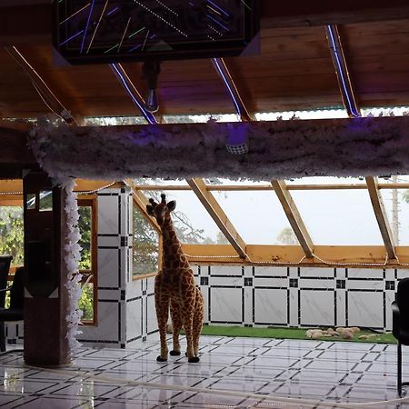 Hotel Al Azeem Ayubia Exteriér fotografie